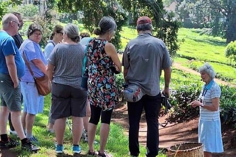 Day Tour to Kiambethu Tea Farm and Lunch