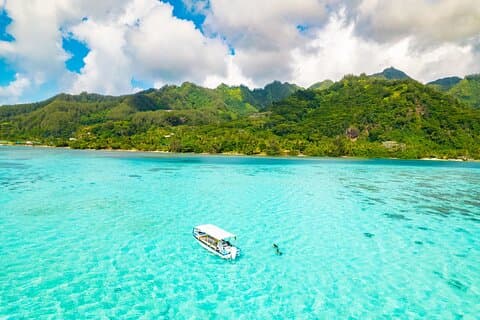 Halvdag / privat lagune-eventyr i Mo'orea