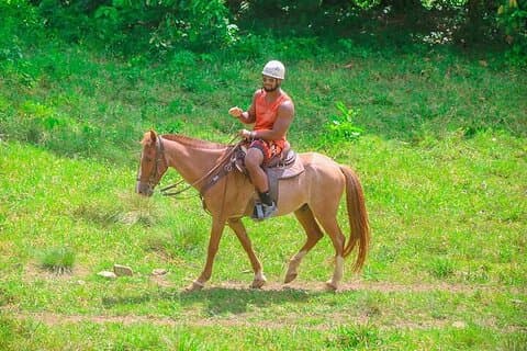Buggy, Pferd und Seilrutsche inklusive Mittagessen ab Punta Cana