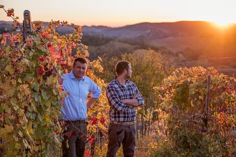 Guided tour of vineyards and winery with tasting 4 wines