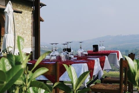 Visit winery and vineyards, tasting 4 wines with 3 matching dishes