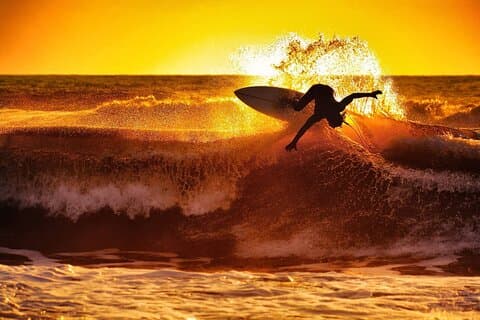 Galle & Bentota Day Tour with River safari From Colombo & Negombo