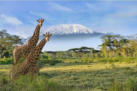 3 dagars Amboseli Kenya Safari Tour med afrikansk gåva