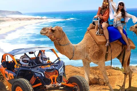 Combo Camel Beach Ride et UTV 4X4 Cabo Adventure, Tequila &