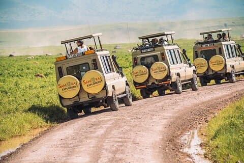 6-tägige Safari „Das Beste aus Nordtansania“.
