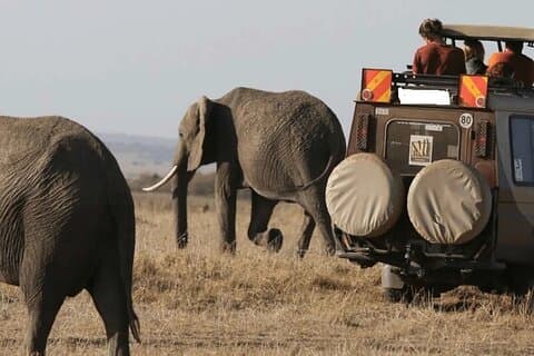 12 Day Kenya and Tanzania Safari from Nairobi