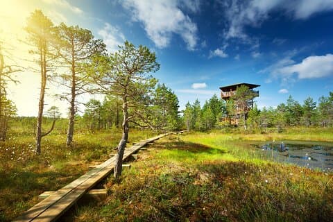 Excursión privada de un día al Parque Nacional Lahemaa desde Tallin