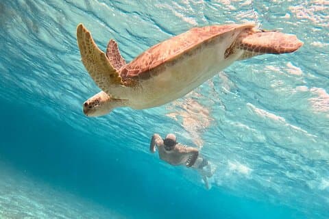 Cozumel : Snorkelen naar El Cielo & Cielito met drankjes & Snack
