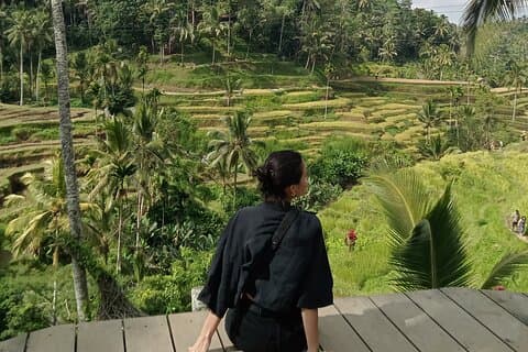 Ubud Halbtagestour mit Reisterrassen, Wassertempel und Wasserfall