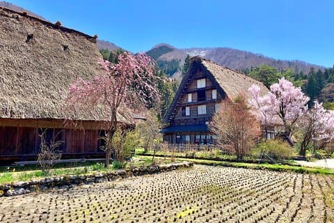 Shirakawa-go and Hida-Takayama Private Day Trip from Nagoya