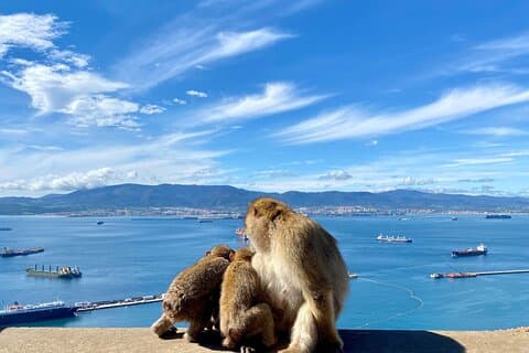 Gibraltar Small Group Tour from Malaga