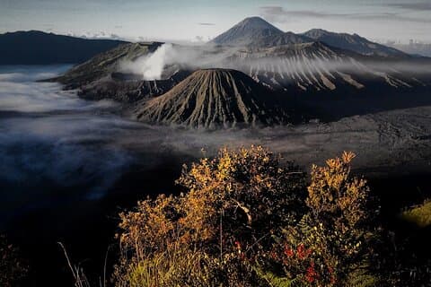 Shared Bromo Tour Start From Malang - 1D