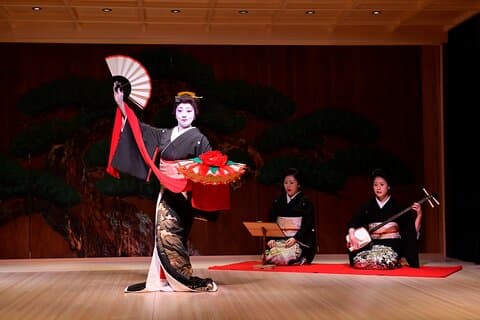 Tokyo privat tur og japansk traditionel forestilling med middag