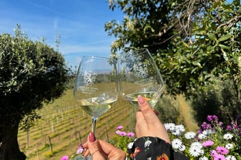 Frascati-Weinverkostungstour: Die Aromen der römischen Landschaft