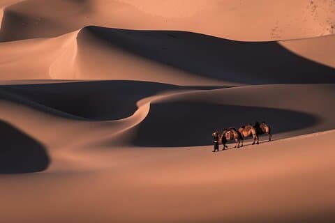 6-dagers Gobi Desert Tour med gratis flyplasshenting