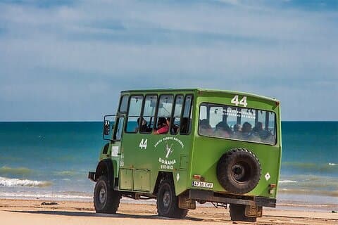 Doñana 4x4 und El Rocío Tour