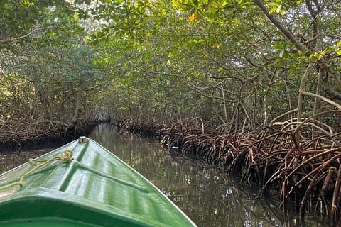 Tour privato dell'East End di Roatan