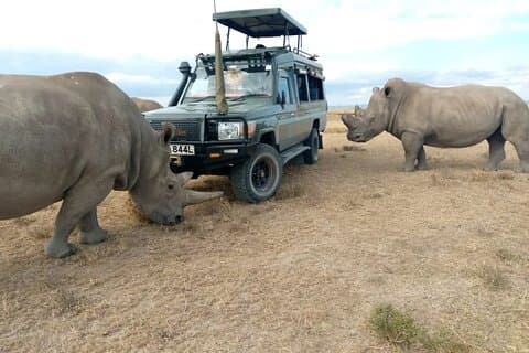 Tour Safari di 5 giorni di Maasai Mara e Ol Pejeta Conservancy