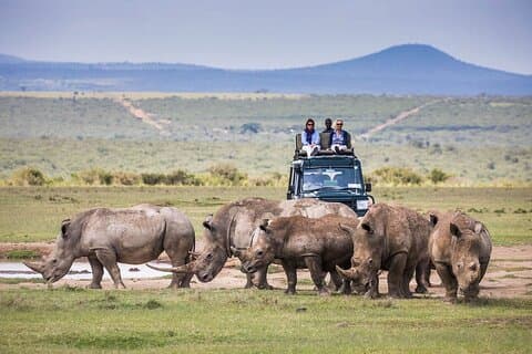 Safari di lusso di 5 giorni Aberdares Solio e Samburu in jeep 4x4
