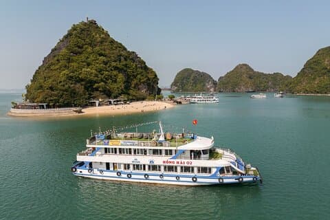Dragon King Cruise - Day Tour Halong Bay from Harbor