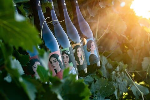 Marsala-smagning af 5 sicilianske økologiske vine