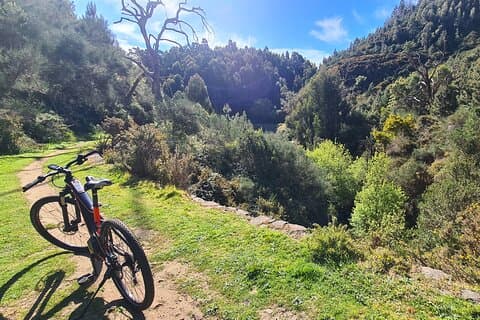 Levada da Camacha Trail med elcykel