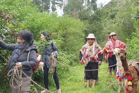 Alpakka Walk & Natural Dye Tour: En minneverdig heldagsopplevelse
