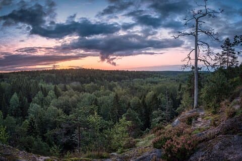 Tour Privado pela Aventura no Parque Nacional Nuuksio de carro