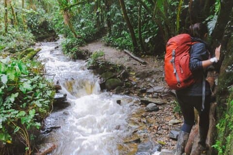 Trekking/Wandelen/Acaime Cocora Vallei vanuit Pereira/Armenië