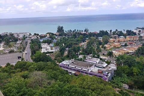 Visite privée des points forts de Montego Bay
