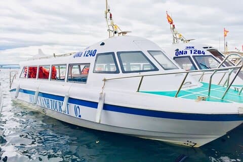 Cham Island Discovery and Snorkeling Tour from Hoi An