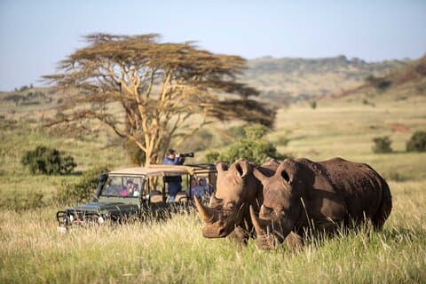 Safari di 4 giorni a Ol Pejeta Aberdare e Solio Ranch su jeep 4WD