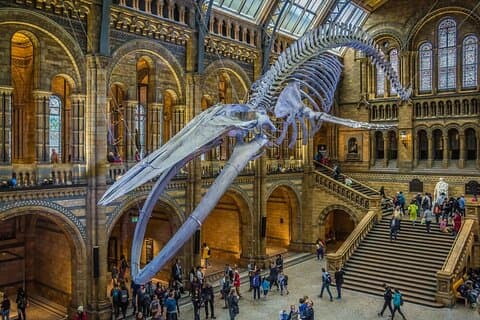 Privat vandretur i British Museum
