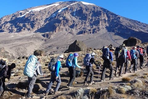 Mount Kenya National Park Heldagstur