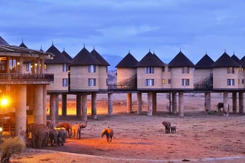 Safári de luxo de 3 dias em Saltlick e Tsavo West saindo de Nairobi