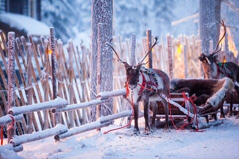 Tour privado de medio día al Pueblo de Papá Noel y Rovaniemi