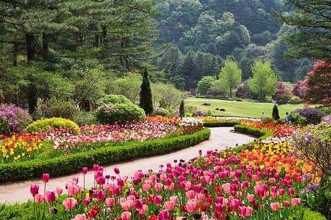 Privétour van een hele dag Nami Island, tuin en klein Frankrijk