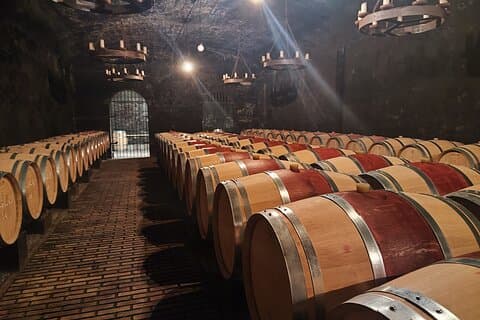 Tour vineyards Châteauneuf du Pape full day from Avignon