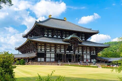 Dagtour naar Nara : Todai-ji, Kasuga Taisha & Sacred Deer Walk