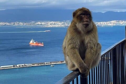 Gibraltar privat dagstur fra Sevilla