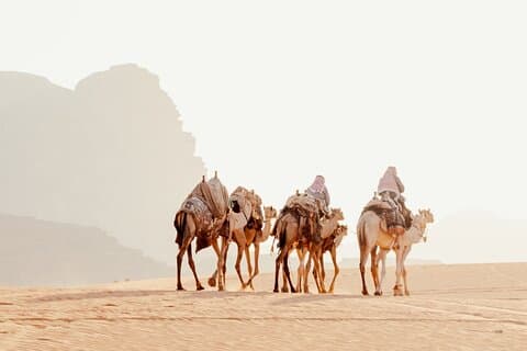 Tour por el desierto de 3 días : Camel Trekking se encuentra con Off-Road Jeep Adventure