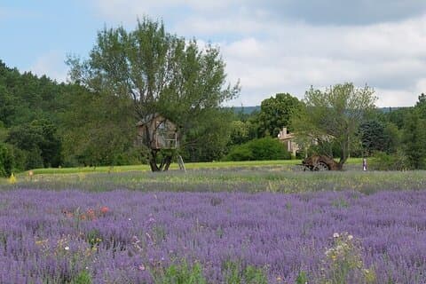 Heldags privat rundtur från Arles Nimes eller Alpilles