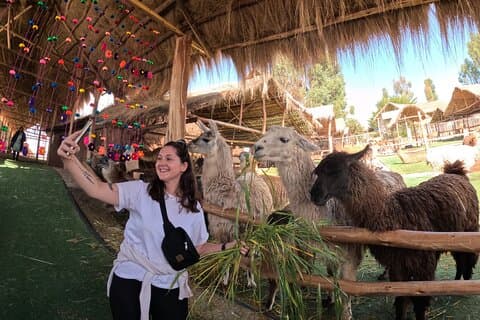 Sacred Valley og Machu Picchu 2-dagers tur med hotell