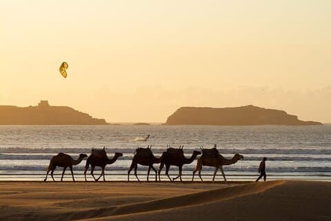 Privat tur for at opdage Essaouira fra Agadir