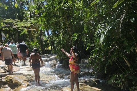 Dunn's River Falls and Ocho Rios Sightseeing with Shopping