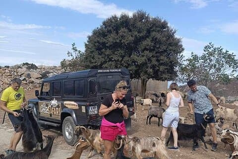 Jeep Safari With Wine- Olive Oil testing and Shepherd's House