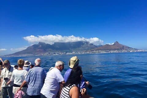 Robben Island, Kirstenbosch Gardens e Groot Constantia Tour