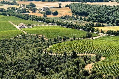 Visite en vélo électrique de l'Alta Tuscia avec visite à l'Antica Cantina Leonardi