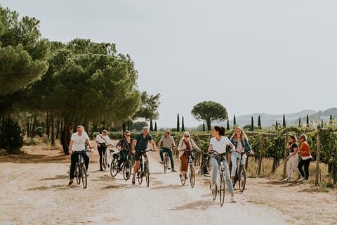E-bike tour & Picnic in an Exclusive winery Estate in Valladolid