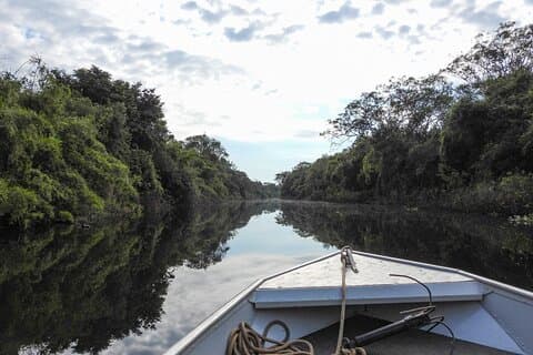 Heldags natur- og dyrelivsbådtur i Paraguay-floden
